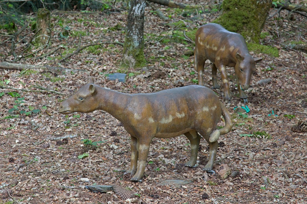 parc de prehistoire bretagne hdr france frankrijk themapark dino dinosaurussen dinosaurus zoo tyrannosaurus rex